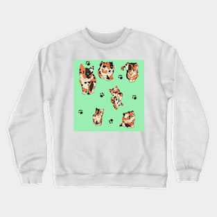 Minty Calico Kittens Crewneck Sweatshirt